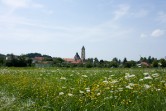 IMG_4177