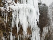 IMG_2450