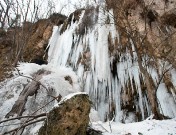 IMG_2521